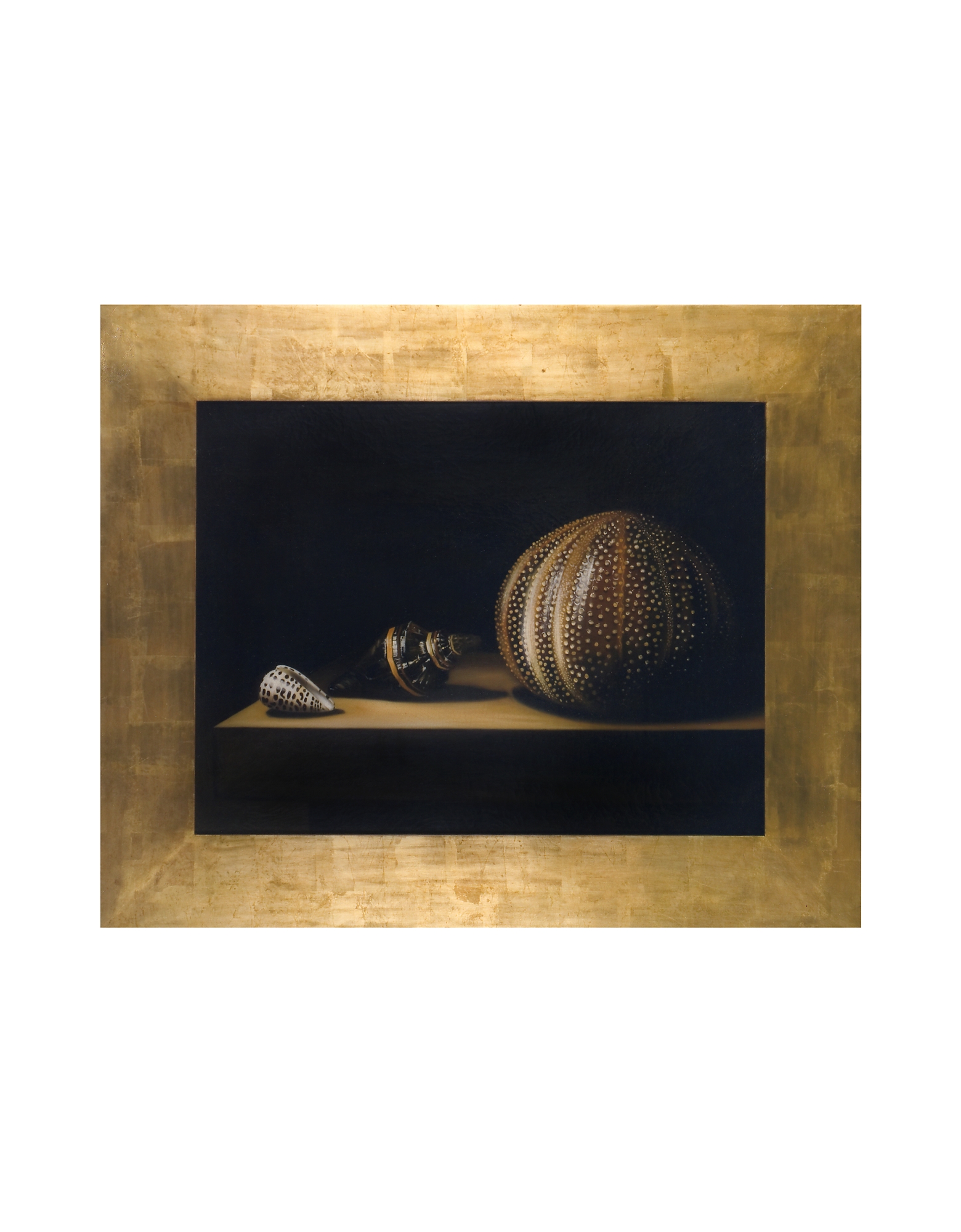 

Oil on Canvas Shells Painting, Black